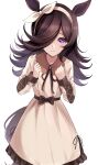  1girl absurdres animal_ears bangs black_hair brown_ribbon closed_mouth collared_dress dress frilled_dress frills hair_over_one_eye hair_ribbon hairband hands_up highres horse_ears horse_girl horse_tail long_hair long_sleeves looking_at_viewer neck_ribbon purple_eyes ribbon rice_shower_(umamusume) simple_background sin_(sin52y) smile solo tail umamusume white_background white_hairband white_ribbon 