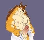  abs anthro balls barrel_(live-a-hero) canid canine canis erection genitals humanoid_genitalia humanoid_penis live-a-hero male mammal mfkb5 muscular muscular_anthro muscular_male nipples pecs penis showing_penis solo towel wolf 