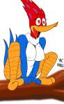  anthro avian bird female nude picid solo the_woody_woodpecker_show universal_studios vic_holle woodpecker woody_woodpecker 