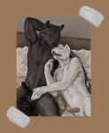  anthro bed canid canine duo furniture genitals knot male male/male mammal masturbation monochrome penis sepia vidnix_(artist) 