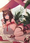  1girl animal_ear_fluff animal_ears armlet bangs barefoot blue_eyes bracelet breasts brown_hair cat cat_ears cat_tail choker closed_mouth dark_skin dark_skinned_female headpiece jewelry long_hair looking_at_viewer navel original peroncho small_breasts solo tail thigh_strap 