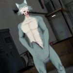  3d_(artwork) anthro beastars canid canine canis digital_media_(artwork) duo fur grey_body grey_fur hi_res legoshi_(beastars) looking_at_viewer male malicekira mammal muscular muscular_male nude open_mouth public_nudity solo tail_between_legs wolf 