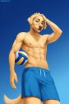  abs anthro ball bird_dog canid canine canis clothing domestic_dog floppy_ears fur hand_on_head hi_res hunting_dog labrador looking_at_viewer male mammal muscular muscular_anthro muscular_male outside retriever sadnicole solo standing swimming_trunks swimwear tan_body tan_fur volleyball_(ball) 