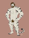  anthro balls beard brown_hair donryu_(character) ear_piercing eyebrow_piercing facial_hair facial_piercing felid fur furrybob genitals hair hi_res looking_at_viewer male mammal nipple_piercing nipples nose_piercing nose_ring nude pantherine penis piercing pubes solo standing striped_body striped_fur stripes tiger 