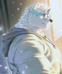 anthro bear big_chest black_nose blue_eyes blue_hair clothed clothing digital_media_(artwork) eyewear fur glasses grey_clothing grey_hoodie grey_topwear hair hi_res hoodie jewelry light male mammal multicolored_hair musclegut muscular muscular_anthro muscular_male necklace pd04140298 polar_bear smile solo sunlight teeth topwear two_tone_hair ursine wearing_glasses white_body white_fur white_hair