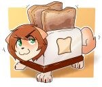 2024 2b-labs ambiguous_gender appliance blush bread brown_hair canid canine canis claws digital_media_(artwork) domestic_dog food green_eyes hair herding_dog kitchen_appliance living_appliance looking_up mammal pastoral_dog simple_background smile solo standing tail toaster toaster_(toaster98) welsh_corgi