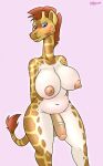  anthro belly better_version_at_source breasts dab_(hirurux) genitals giraffe giraffid gynomorph hair hi_res hirurux humanoid_genitalia humanoid_penis intersex mammal nipples nude penis red_hair solo spots white_belly 