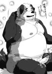  2021 anthro balls belly canid canine canis domestic_dog erection genitals hi_res humanoid_genitalia humanoid_penis japanese_text kemono male mammal moobs nipples overweight overweight_male penis shintatokoro sitting solo text 