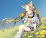  1girl absurdres animal_ears blue_eyes brown_hair commentary_request day flower girls'_frontline girls'_frontline_neural_cloud hair_ornament hair_ribbon hairclip hannah_(neural_cloud) happy highres knee_up long_hair looking_at_flowers miniskirt multicolored_hair on_ground outdoors pleated_skirt ribbon ribear_9864 shirt sitting skirt smelling smelling_flower smile solo streaked_hair tail twintails two-tone_hair very_long_hair white_hair white_shirt yellow_flower yellow_ribbon 