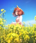  1girl :o animal_ears bangs blue_sky blurry blurry_background blurry_foreground breasts brown_eyes brown_hair cloud collared_shirt day depth_of_field field flower flower_field horse_ears looking_away nice_nature_(umamusume) ouri_(aya_pine) outdoors parted_lips shirt sky small_breasts solo twintails umamusume upper_body white_shirt yellow_flower 