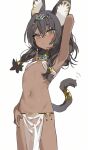  1girl ancient_egyptian_clothes animal_ears arm_behind_head arm_up breasts brown_egyptian_cat-eared_loli_(trend) brown_hair cat_ears cat_girl cat_tail circlet commentary dark-skinned_female dark_skin gold_circlet hand_on_own_thigh highres light_frown low-tied_sidelocks measho medium_hair navel original pelvic_curtain see-through_clothes see-through_pelvic_curtain sidelocks simple_background sketch sling_bikini_top small_breasts stomach tail tail_ornament tail_ring usekh_collar white_background 