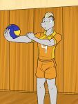  anthro anthrofied ball bottomwear clothed clothing fully_clothed fuze hi_res holding_ball holding_object machop male nintendo pok&eacute;mon pok&eacute;mon_(species) pok&eacute;morph shirt shorts solo sport sportswear topwear video_games volleyball volleyball_(ball) 