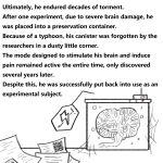 1:1 2025 abandoned abuse brain comic container digital_media_(artwork) english_text fluffy_pony gore hi_res organs paper pictographics qr_code speech_bubble spider_web spot_color suffering text wall_of_text what yellowcottoncandy030 zero_pictured