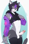  anthro balls bedroom_eyes black_hair bottomless bottomless_anthro bottomless_male clothed clothing cropped_hoodie domestic_cat erection felid feline felis femboy fur genitals grey_body grey_fur hair half-closed_eyes hi_res highlights_(coloring) humanoid_genitalia humanoid_penis legwear lukiro male mammal narrowed_eyes penis purple_highlights seductive smile smirk smug smug_face smug_grin solo stockings white_body white_fur yellow_sclera 