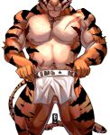 2026 absurd_res anthro balls bengal_tiger biceps boxer_briefs clothing epic_games fangs felid fortnite front_view fur fuyifuji genitals hi_res holding_clothing holding_object holding_underwear male mammal musclegut muscular muscular_anthro muscular_male nipples nude oscar_(fortnite) pantherine pecs pinup portrait pose pubes quads scar sharp_teeth simple_background standing striped_body striped_fur stripes tail teeth three-quarter_portrait tiger triceps underwear white_background