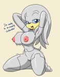 2026 anthro big_breasts breasts dialogue echidna english_text female genitals grey_body grey_hair hair kneeling long_hair looking_at_viewer mammal monotreme nipples nude nude_anthro nude_female pink_nipples sandwich-anomaly sega solo sonic_the_hedgehog_(series) tail text vulva zeta_the_echidna
