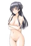  1girl bangs black_hair blush breasts brown_eyes closed_mouth cnt_ryu cowboy_shot eyebrows_visible_through_hair idolmaster idolmaster_shiny_colors long_hair mayuzumi_fuyuko medium_breasts navel nipples nude pubic_hair simple_background sketch two_side_up white_background 