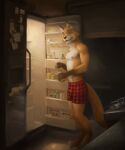 anthro appliance areola boxers_(clothing) boxers_only bulge canid canine canis clothed clothing container digital_media_(artwork) digitigrade feet fingers food fox fridge fur hi_res holding_container holding_object kitchen kitchen_appliance looking_at_viewer male mammal nipples orcfun pecs smile solo standing tail toes topless topless_anthro topless_male underwear underwear_only