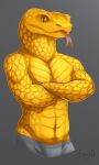  anthro boxers_(clothing) clothing crossed_arms forked_tongue glistening glistening_body gold_body hi_res looking_at_viewer male muscular muscular_anthro muscular_male reptile scales scalie snake solo sowod tongue tongue_out underwear viper 