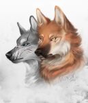  2021 black_nose brown_body brown_fur canid canine digital_media_(artwork) duo fur grey_body grey_fur headshot_portrait hi_res mammal naiterion orange_body orange_fur portrait white_body white_fur 