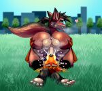 69_position anthro anus balls big_butt blue_eyes blurred_background blush bodily_fluids brown_hair butt butt_grab canid canine canis cum cum_drip cum_in_mouth cum_inside cum_on_face cum_on_penis cum_splatter digital_drawing_(artwork) digital_media_(artwork) drinking drinking_cum dripping duo ejaculation erection eyes_closed fellatio fox fur genital_fluids genitals glistening glistening_balls glistening_genitalia grass grass_field hair hand_on_butt head_on_paws heart_symbol hi_res humanoid_genitalia humanoid_penis irrumatio lying male male/male male_penetrated male_penetrating male_penetrating_male mammal markings nude on_back onomatopoeia open_mouth oral oral_penetration orange_body orange_eyes orange_fur orgasm orgasm_face outside outside_sex penetration penile penis penis_in_mouth plant plasma_(tsanufox) ponytail red_fox sex shaded sound_effects steam steamy_breath sweat sweatdrop tail tan_body tan_fur text thick_thighs throbbing throbbing_penis tongue tongue_out true_fox tsanufox tsuny vulpin wide_hips