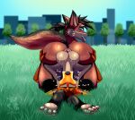 69_position anthro anus balls big_butt blue_eyes blurred_background bodily_fluids brown_hair butt butt_grab canid canine canis digital_drawing_(artwork) digital_media_(artwork) duo erection eyes_closed fellatio fox fur genitals glistening glistening_balls glistening_genitalia grass grass_field hair hand_on_butt head_on_paws heart_symbol hi_res humanoid_genitalia humanoid_penis irrumatio looking_back lying male male/male male_penetrated male_penetrating male_penetrating_male mammal markings nude on_back onomatopoeia open_mouth oral oral_penetration orange_body orange_eyes orange_fur outside outside_sex penetration penile penis penis_in_mouth plant plasma_(tsanufox) ponytail red_fox sex shaded sound_effects sweat sweatdrop tail tan_body tan_fur text thick_thighs tongue tongue_out true_fox tsanufox tsuny vulpin wide_hips