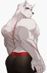  anthro back_muscles back_scar briefs butt canid clothing facial_hair fur hachi_duchi hi_res looking_at_viewer male mammal manly muscular muscular_anthro muscular_male pecs rear_view scar solo underwear white_body white_fur 