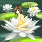  1girl arm_support black_hair blush_stickers breasts completely_nude flower from_side kams lily_pad looking_at_viewer lotus nipples nude short_hair small_breasts smile spread_legs touhou usami_renko white_lotus zun_(style) 