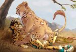 anatomically_correct anatomically_correct_genitalia anatomically_correct_vulva animal_genitalia animal_penis animal_vulva anus balls cheetah cowgirl_position duo felid feline feline_genitalia feline_penis feline_vulva female female_penetrated feral feral_on_feral feral_penetrated feral_penetrating feral_penetrating_feral from_front_position fur genitals grin licking licking_lips lion lying male male/female male_penetrating male_penetrating_female mammal on_back on_bottom on_ground on_top outside pantherine penetration penis roughlady savanna sex smile tail tail_tuft tan_body tan_fur tongue tongue_out tuft vulva whiskers yellow_body yellow_fur