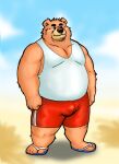  2020 anthro black_nose bottomwear brown_body brown_fur bulge clothing feet flip_flops footwear fur hokin_the_bear humanoid_hands male mammal overweight overweight_anthro overweight_male sandals shirt shorts solo tank_top topwear ursid 