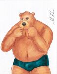  2021 anthro black_nose brown_body brown_fur bulge clothing fur hi_res hokin_the_bear humanoid_hands male mammal moobs navel overweight overweight_anthro overweight_male simple_background solo speedo swimwear traditional_media_(artwork) ursid white_background 