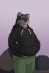  anthro big_tail canid canine clothed clothing eyewear geno28_(artist) glasses hi_res hoodie humanoid male mammal portrait raccoon_dog signature slightly_chubby solo tagme tanuki topwear zaffre 