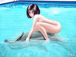  animated animated_gif bestiality cowgirl_position dolphin gif girl_on_top lowres nude pool qvga sex straddling vaginal water 