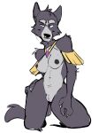  adastra adastra_(series) anthro breasts canid canine canis echo_project facial_piercing female fur genitals grey_body grey_fur haps hi_res jewelry mammal nipples nose_piercing nose_ring nude piercing pose pussy solo video_games virginia_(adastra) visual_novel wolf 