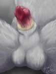 3:4 absurd_res anatomically_correct anatomically_correct_genitalia anatomically_correct_penis animal_genitalia animal_penis anthro balls canid canine canis close-up domestic_dog erection first_person_view genitals half-erect half_bomb hi_res knot knot_in_sheath knotted_penis male mammal musk musk_cloud musky_balls musky_penis penis sheath simple_background smegma smegma_in_sheath smegma_on_penis solo stinkycoyote