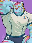 anthro artist_logo artist_name barazoku black_bottomwear black_clothing black_shorts blue_body blue_fur bottomwear canid canine canis clothing colored fingers front_view fur half-length_portrait hand_behind_head hi_res humanoid_hands inner_ear_fluff logo looking_down male mammal muscular muscular_anthro muscular_arms muscular_male orange_body orange_fur phantasmbark pink_body pink_fur portrait pose purple_background shaded shorts simple_background smile solo tan_clothing tan_shirt tan_topwear text topwear tuft watermark wolf