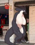 2026 absurd_res anthro aquatic areola biped blush bottomwear breasts buta99 cetacean clothed clothed_anthro clothed_male clothing countershade_torso countershading digital_drawing_(artwork) digital_media_(artwork) dolphin duo female fingers fully_clothed fully_clothed_anthro fully_clothed_male hi_res male mammal nipples nude nude_anthro nude_female oceanic_dolphin orca standing tail toothed_whale topwear