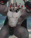 1boy abs absurdres animal_ears armpits arms_up bara biceps black_fur black_male_underwear bulge chain chained clenched_hands covered_testicles english_commentary furry furry_male highres male_focus male_underwear masked muscular muscular_male muzzle_(mask) navel nipples patreon_username pectorals romeul_(zenless_zone_zero) topless_male underwear unfinished wolf_boy wolf_ears wulfersheperd zenless_zone_zero 