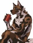 african_wild_dog anthro beverage blue_eyes brown_body brown_fur canid canine canis domestic_dog drinking fur hazakyaracely hi_res holding_object human male mammal markings muscular muscular_male nude patton sitting soda solo spots spotted_body spotted_fur straw_(disambiguation) white_body white_fur yecahoo
