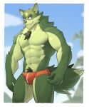 2021 abs anthro blurred_background body_hair border bulge canid canine canis chest_hair clothing hi_res jrjresq male mammal muscular muscular_anthro muscular_male navel pecs pubes solo speedo standing swimwear white_border wolf 