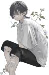  1boy absurdres arms_between_legs bandaid bandaid_on_knee bandaid_on_leg black_pants blood blood_on_ears blood_on_hand blue_hair capri_pants closed_mouth colored_inner_hair commentary feet_out_of_frame flower from_side gauze gauze_on_cheek gauze_on_leg grey_eyes grey_hair hair_behind_ear hair_between_eyes hair_intakes highres holding holding_flower invisible_chair looking_at_viewer looking_to_the_side male_focus medium_hair multicolored_hair original own_hands_together pants pd_ta1 rose shirt short_sleeves simple_background sitting solo turning_head untranslatable_commentary white_background white_flower white_rose white_shirt wolf_cut 