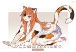  1girl all_fours animal_ear_fluff animal_ears blush brown_eyes cat_ears cat_girl cat_tail commentary commission english_commentary full_body furry furry_female green_eyes grey_shorts heterochromia long_hair looking_at_viewer mo_(k40633) open_mouth orange_hair original shirt short_shorts shorts simple_background solo tail thighs twitter_username white_shirt 