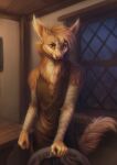  2020 5_fingers anthro biped clothed clothing ear_piercing fingers fur hi_res inside looking_at_viewer lostgoose male mammal night piercing ring solo tavern topwear viverrid watermark 