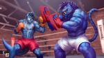  anthro blue_body blue_fur bottomwear boxing boxing_gloves bulge clothing duo fangs felid fight fighting_ring fur handwear hi_res lutrine machairodontine male male/male mammal muscular muscular_male mustelid nexus pantherine sabertooth_(anatomy) seritus shorts sport teeth tiger tungro 