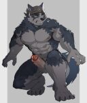  2021 5cm abs absurd_res anthro balls bandanna bandanna_only biceps biped black_nose blue_eyes brown_eyebrows canid canine canis claws domestic_dog ear_piercing ear_ring erection eyebrows fur genitals glans grey_body grey_fur grey_pubes grey_tail hi_res humanoid_genitalia humanoid_hands humanoid_penis husky kemo_coliseum kerchief kerchief_only male mammal mostly_nude multicolored_body multicolored_fur muscular muscular_anthro muscular_male navel neumokun nipples nordic_sled_dog pecs penis piercing red_glans spitz stakeho_lder thick_eyebrows triceps two_tone_body two_tone_fur two_tone_tail volga white_balls white_body white_fur white_penis white_tail 