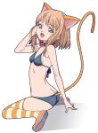 1girl amano_yo-ki animal_ears ass bikini black_bikini breasts butt_crack cat_ears cat_girl cat_tail collar fang from_side full_body green_eyes light_brown_hair looking_at_viewer open_mouth original shadow sitting small_breasts smile solo striped striped_legwear swimsuit tail thighhighs wariza 