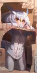  kemono_friends melaton northern_white-faced_owl tagme 