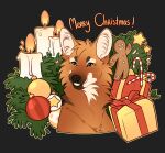  anthro canid canine christmas dicksndemons feral fur hi_res holidays male mammal maned_wolf royvdhel simple_background smile solo takwin 