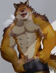  abs absurd_res anthro barrel_(live-a-hero) blush bottomwear canid canine canis clothed clothing genitals hi_res live-a-hero male mammal muscular muscular_anthro muscular_male neumokun nipples partially_clothed pecs penis penis_base presenting shorts shorts_down solo wolf 