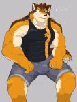  ... abs anthro barrel_(live-a-hero) biceps bulge canid canine canis clothed clothing erection erection_under_clothing hi_res live-a-hero male mammal morningbread16 muscular muscular_anthro muscular_male pecs shirt solo tank_top tenting topwear underwear wolf 